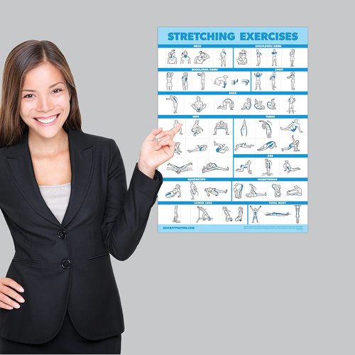 2 Pack Stretching Exercises and Sliding Bench Workout Poster Set - Compatible with Total Gym & Weider Ultimate Body Works [LIGHT] (LAMINATED, 18” x 24”)