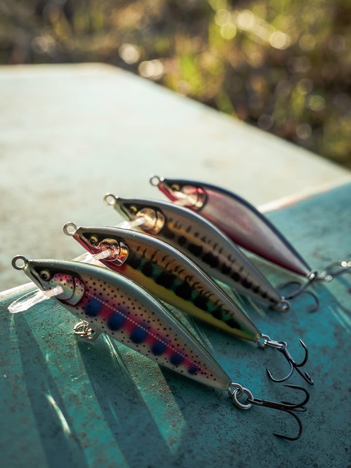 Rapala Count Down Elite Minnow Lure, Sinking Hard Bait, Trout Bass Walleye Fishing Lure, Controlled Depth, 2-1/4", Gilded Rainbow Trout