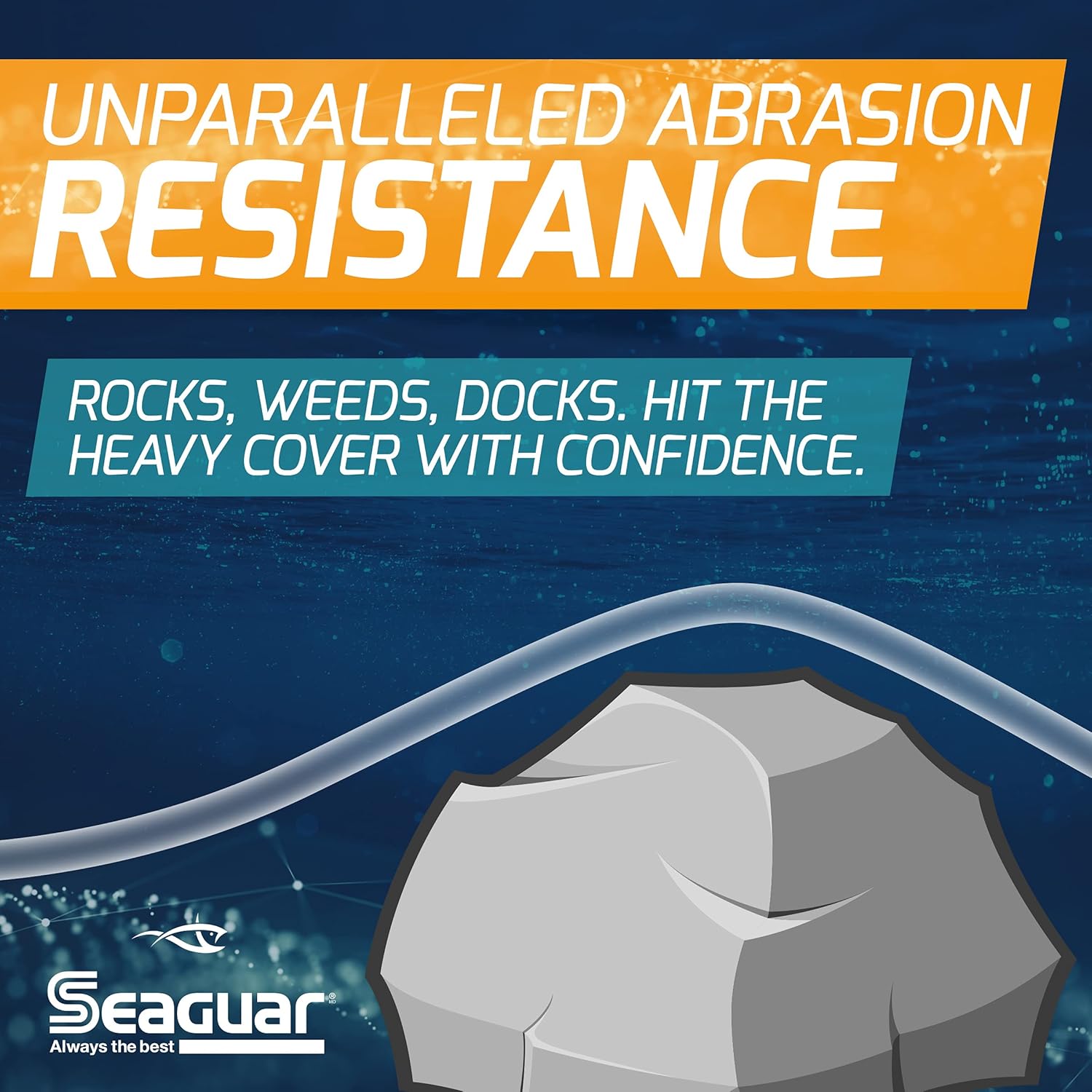Seaguar Blue Label Fishing Leader Line - 100% Fluorocarbon, Clear, Ideal for Saltwater Fishing, Multiple Sizes