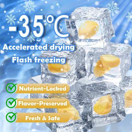 9.5oz Freeze Dried Sweet Corn Kernels – Super Sweet Dehydrated Yellow Corn, Single-Ingredient Vegan Dried Vegetable for Salad, Soup, Stew – Kosher Food for Everyday Meals and Camping
