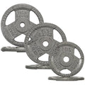 Fitvids 1 Inch Standard Barbell Weight Plates Set, 35 LB(2.5-10 LB) Barbell Weight Set for Home Gym Strength Training, Triple-handle Design
