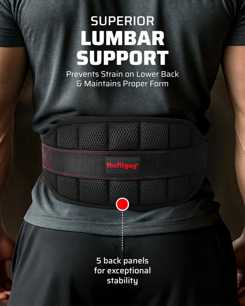 THEFITGUY Ultimate Belt for Belt Squats, Rack Attachment and Squat Machine, Structured Back Support, Stays Low During Down Movement, Padded Hip & Thigh Area, Buckle Strap - No Sliding Down, Heavy Duty