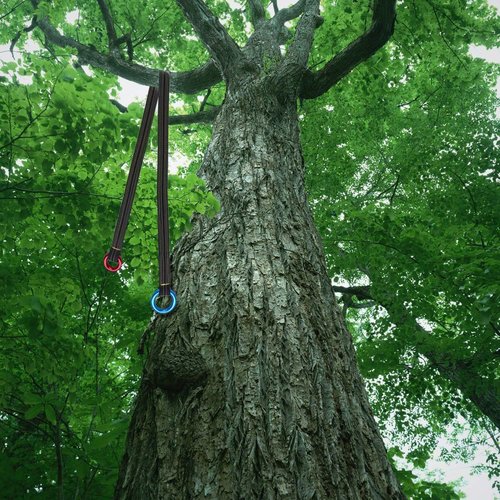 WILDKEN Tree Arborist Friction Saver Tree Climbing Cambium Saver Loop Belt Sling Retrievable Anchor 35.4 inch/43 inch