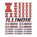 Desert Cactus Illinois Illini Sticker Sheet 8.5 x 11 - Official Licensed Vinyl Decal