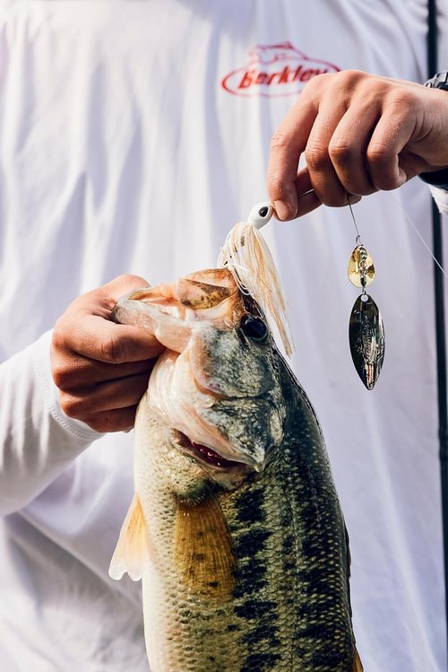 Berkley Power Blade Fishing Spinnerbaits - Premium Performance for All Anglers