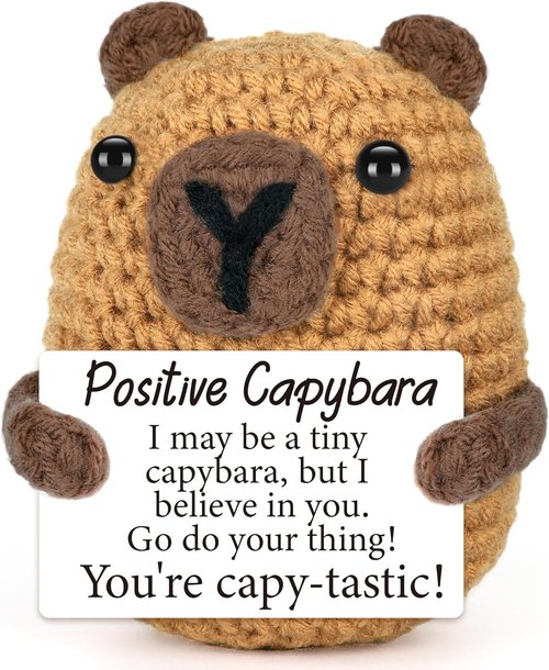 Capybara Mini Plush Toy - Perfect Birthday Gift for Teens & Graduation | Ideal for Moms, Teachers & Dads