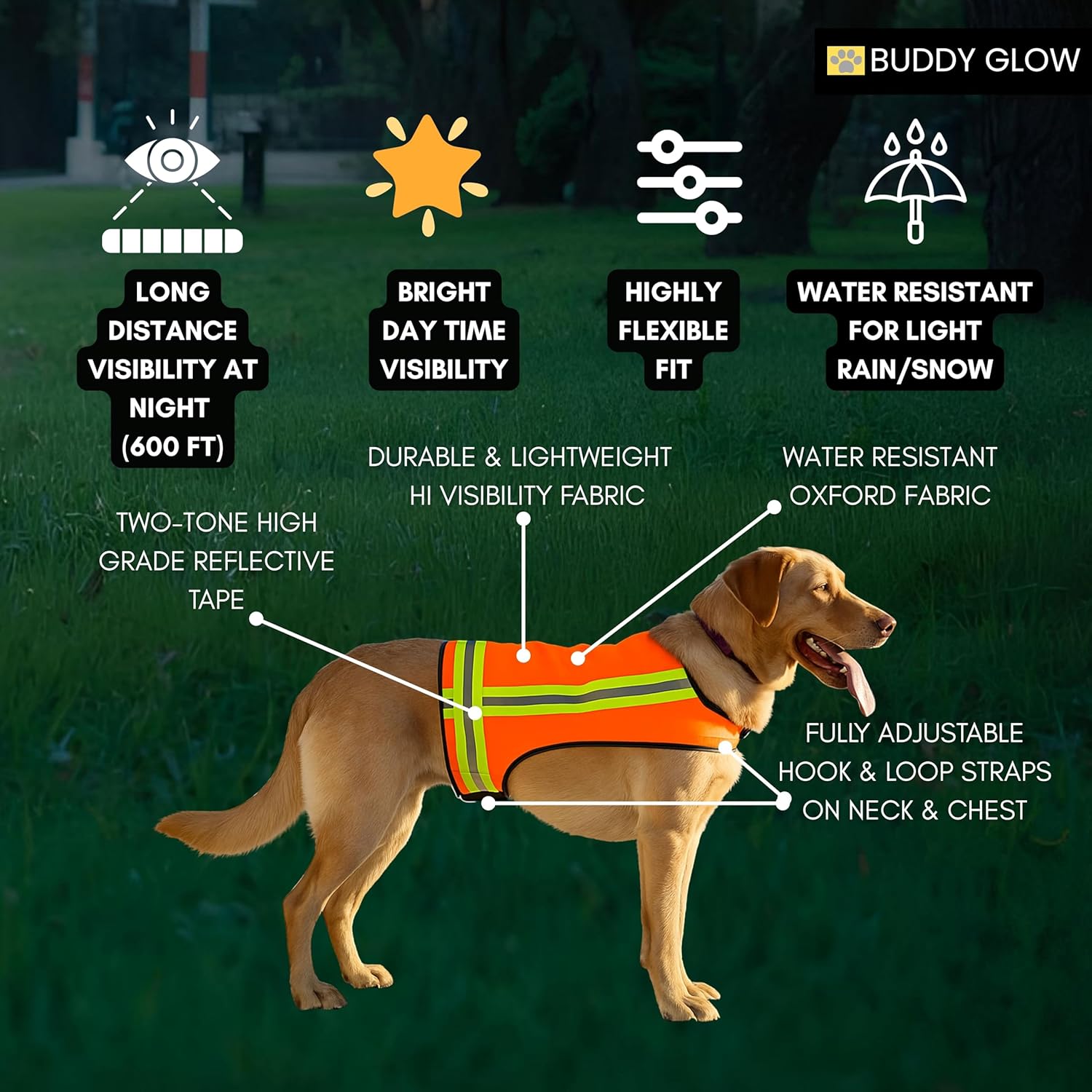 Skiennix Reflective Dog Vest - Hi-Visibility Blaze Orange Safety Vest, Adjustable & Lightweight for Outdoor Use | Water Resistant (Medium)