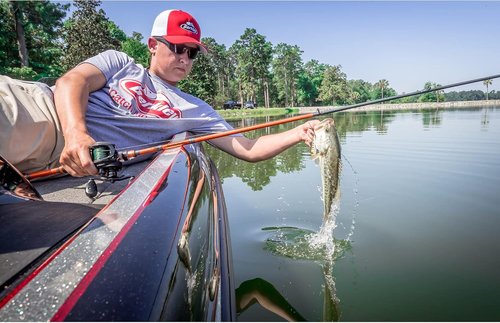 Berkley PowerBait Power Eggs - Floating Magnum Fishing Soft Bait | Versatile Color Options