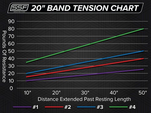 Serious Steel Fitness Short 20" Deadlift Bands (Sold in Pairs) (#1 Purple)