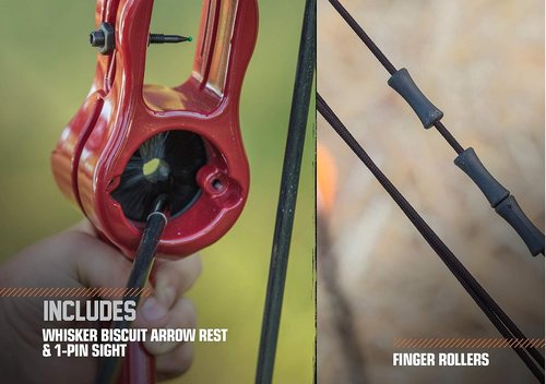 Bear Archery Flash Bow Set - Youth-Friendly Design for Ages 11-14 | Ambidextrous, 18 lb Draw Weight, 24-Inch Draw Length
