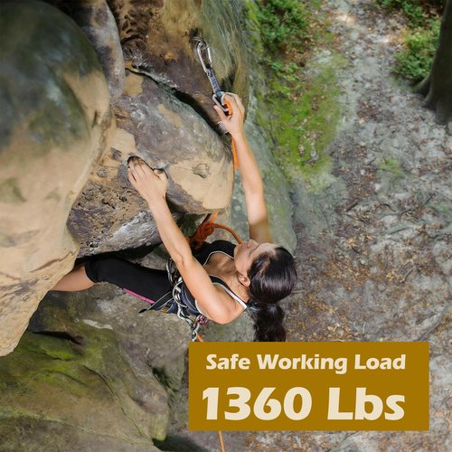 10 PCS Heavy Duty Carabiner Clips, 1360lbs 304 Stainless Steel Carabiners,3.16 inch D-Ring Snap Hook Keychain Spring Clips for Gym,Plant Hanging, Outdoor Camping, Hiking.
