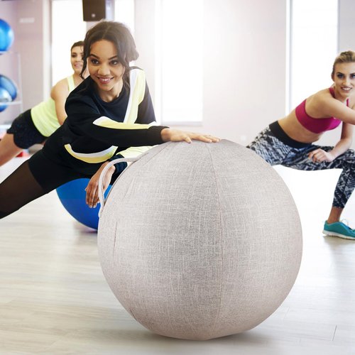 Veemoon 21.6 Inch Yoga Ball Covers Balance Ball Covers for Office Home Gym Use