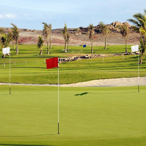 Nuenen 3 Pcs Large Golf Flags with Tube Inserted 13 x 20 Inch Oversize Putting Golf Pin Flags 420D Nylon for Yard Indoor Outdoor Backyard Garden(White, Blue, Red)