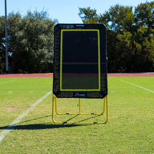 Champion Sports Lacrosse Target - Deluxe Ball Return Bounce Back Net for Training & Drills
