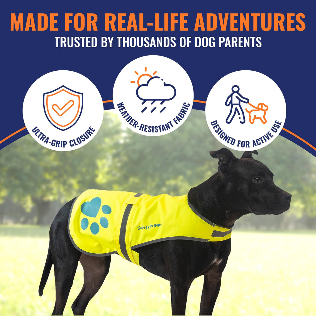 SafetyPUP XD Dog Reflective Vest – Hi-Vis Fluorescent Visibility that Helps to Safeguard Your Pet On/Off Leash in Urban & Rural Areas (Yellow, X-Large)