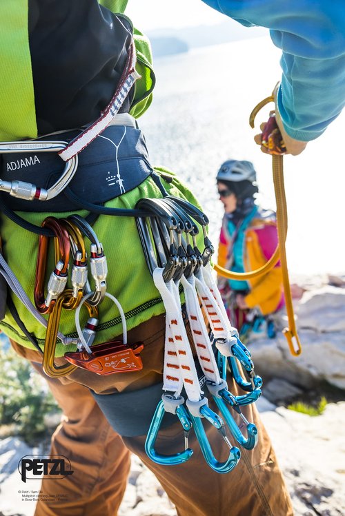 Petzl Sm'D Carabiner - TRIACT-Lock, Yellow