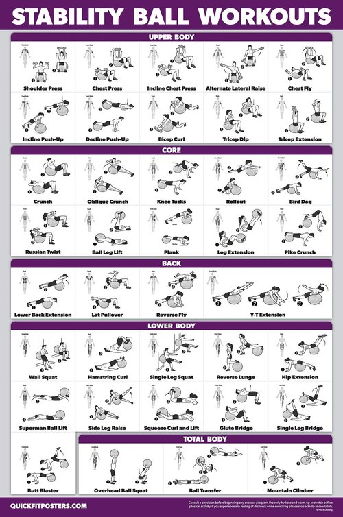 11 Pack - Exercise Poster Set, Dumbbell, Suspension, Kettlebell, Resistance Bands, Stretching, Bodyweight, Barbell, Yoga, Exercise Ball, Muscular System, Medicine Ball (LAMINATED, 18" x 24")