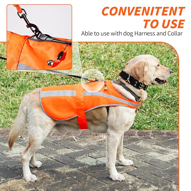 Reflective Dog Vest Blaze Orange - High Visibility Safety Harness with Removable Bell (Variation: Blaze Orange+L) for Medium to Large Breeds