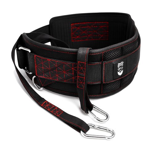 THEFITGUY Ultimate Dip Belt | Secure Closure - No Sliding Down | Structured Back Support | 45-Angle Rings - Comfort Dip Position | 40” Strap & 2 Snap Hooks - for Dips, Pull Ups, Squats, Weight Lifting