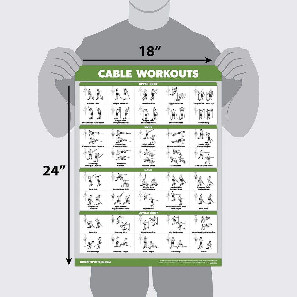 Palace Learning 4 Pack - Cable Machine Workout Posters Volume 1 & 2 + Dumbbell Exercises Chart Volume 1 & 2 (LAMINATED, 18" x 24")