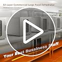 Ausegia 12-Trays Commercial Food Dehydrator - Large Capacity Stainless Steel Dryer for Meat, Fruit, Veggies, Herbs, Pet Food