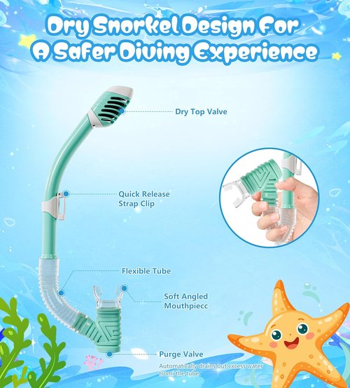 Aegend Snorkeling Gear - Panoramic Snorkel Mask with Top Dry Valve | Anti-Leak, Anti-Fog, Mesh Bag Included