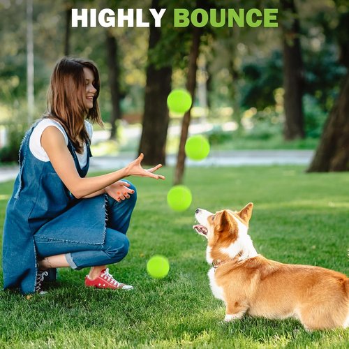 FURWEY Pressureless Tennis Balls - Bulk Pack of 12/24/36/80 with Mesh Bag for Easy Transport | Ideal for Pets & Beginners