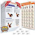 Whole Body Vibration Plate Workout Poster Set – 6 Exercise Wall Charts & 2 Fitness Planners for Home Gym, Full Body Guide for Vibration Platform, Dumbbells & Resistance Bands