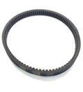 Automotive Authority LLC Drive Belt for Club Car DS Golf Carts - 1014081, 1017188