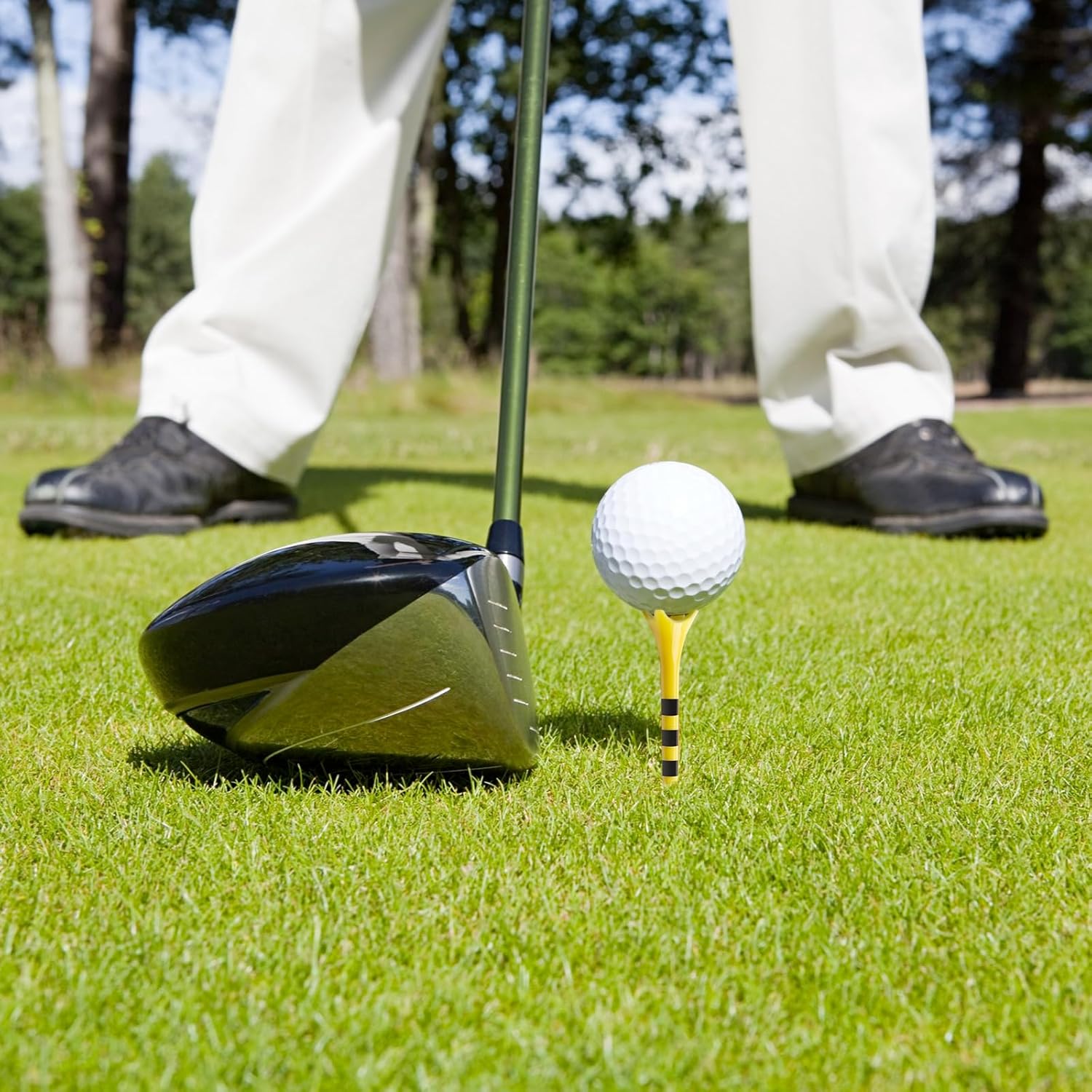 Professional Golf Tees by Skiennix - 100 Pack, Enhanced Durability & Stability | 3-1/4" & 2-3/4" Sizes