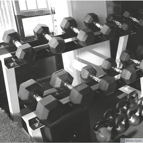 GYMENIST Single Hex Rubber Dumbbell with Metal Handles Exercise Heavy Workout Dumbbells Workout Weights Sold As Singles or Set of 2 (8-Lb Pair)