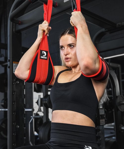 DMoose Ab Straps for Abdominal Muscle Building, Arm Support for Ab Workout, Hanging Ab Straps for Pull Up Bar Attachment, Ab Exercise Gym pullup Equipment for Men Women