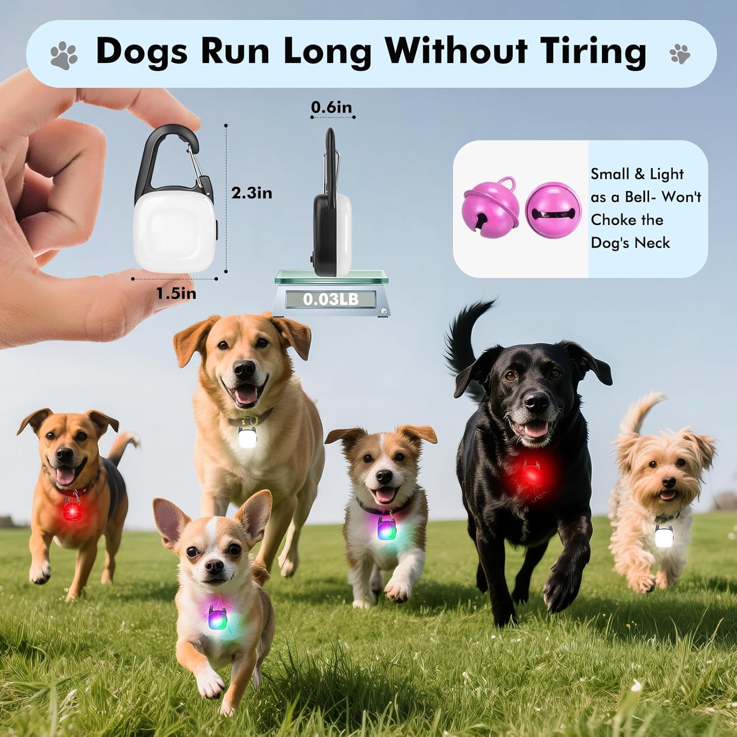 Skiennix Dog Lights - 2 Pack LED Rechargeable Safety Collar Lights with 4 Modes | IP68 Waterproof for Night Walking & Outdoor Activities