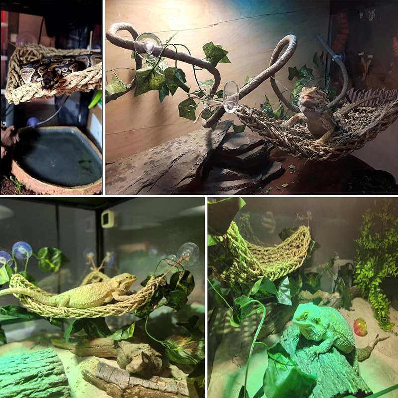 Triangular & Square Bearded Dragon Hammock Set with Reptile Vines – 5 PCS