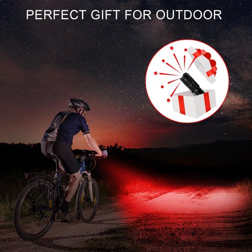 Beieverluck 10 Pack Red Light Flashlight 3 Modes Red LED Flashlight Scalable Red Light Torch with Clip for Hunting Astronomy Night Observation and Outdoor Activities
