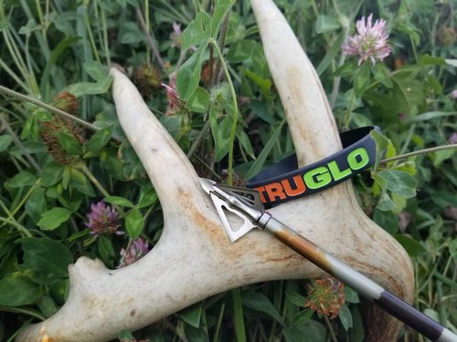 TRUGLO Apex Archery TRUGLO Titanium X 100-Grain Fixed Blade Broadheads - 3-Pack, 4-Blade