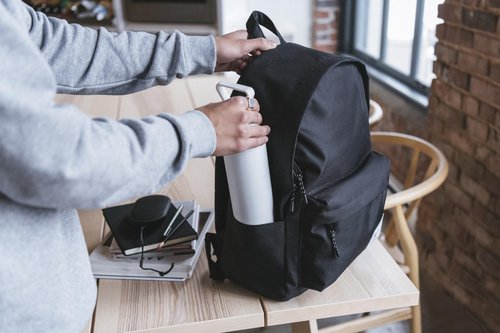 Herschel Supply Co. Classic Backpack, Ash Rose, Mod - 20L