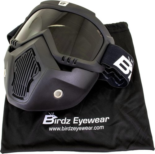 Birdz Eyewear Skylark Motorcycle Goggles - Removable Face Mask, Black Frames, Mirror Lens