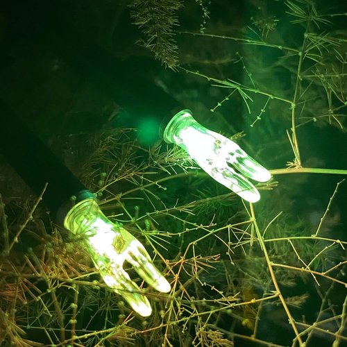 G Lighted Nocks - High-Visibility LED Arrow Nocks with ON/OFF Switch | 6/12 Pack for .165-.246 ID