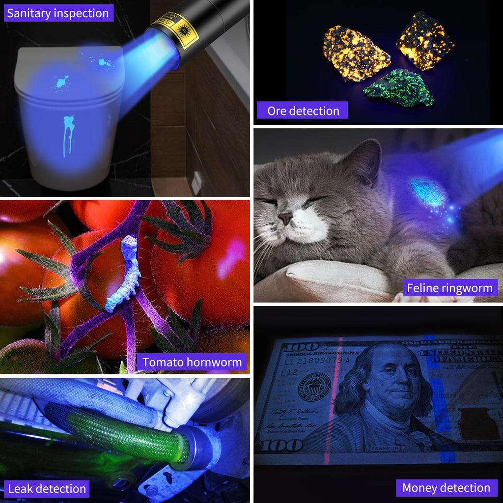 UV Flashlight Rechargeable 365nm & 395nm Black Light for Pet Urine Detection, USB Portable Blacklight Mini Powerful Woods Lamp LED ultra violet Flashlights uv for Resin Curing, Leak Detection, Travel