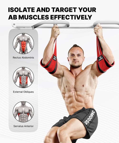 DMoose Ab Straps for Abdominal Muscle Building, Arm Support for Ab Workout, Hanging Ab Straps for Pull Up Bar Attachment, Ab Exercise Gym pullup Equipment for Men Women