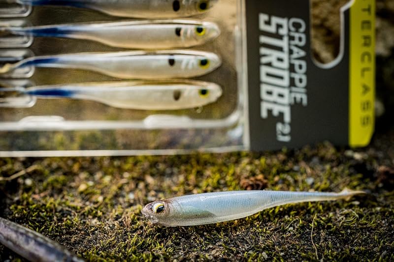 6th Sense Crappie Strobe Minnow Soft Bait 2.1in - Live Gizzard+2.1" Variation