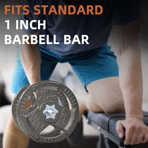 Fitvids 1 Inch Standard Barbell Weight Plates Set, 35 LB(2.5-10 LB) Barbell Weight Set for Home Gym Strength Training, Triple-handle Design