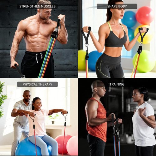 Resistance Bands, Exercise Bands Set for Working Out, Resistance Bands with Handles, Home Gym Workout Bands, Fitness Equipment for Men and Women Strength Training