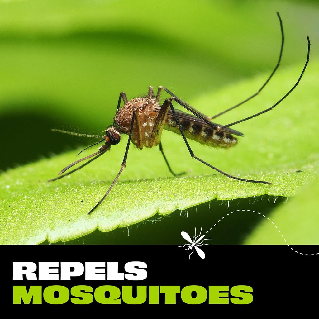 Skiennix Mosquito Repellent Wipes - Natural Botanical Extracts | 10 Wipes Per Pack