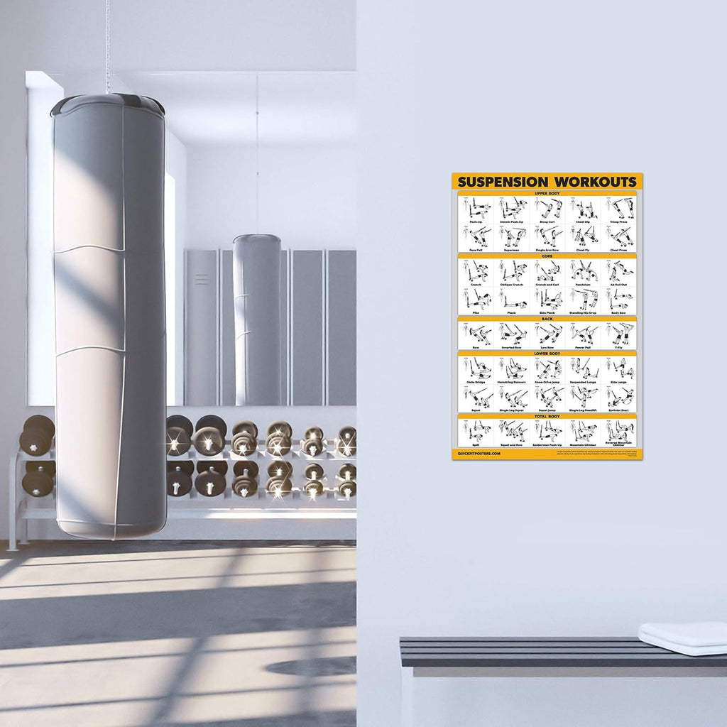 Skiennix Exercise Workout Poster Set - 10 Pack of Laminated Fitness Charts | 18" x 24" Size