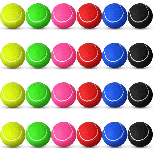 Vinsot 24 Pack Tennis Balls Bulk, Standard Pressure Balls for Training Playing Player Beginner Youth, Exercise Ball for Pet Dog, 2.5 Inch(Multicolor)