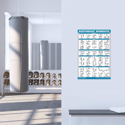 Palace Learning QuickFit 3 Pack, Dumbbell Workouts + Bodyweight Exercises + Stretching Routine Poster Set - Set of 3 Workout Charts (Laminated, 18" x 24")