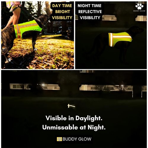 Reflective Dog Vest. High Visibility Yellow Safety Vest for Outdoors. Safeguard Your Dog with Easy to wear Adjustable and Breathable Reflective Gear (Large)
