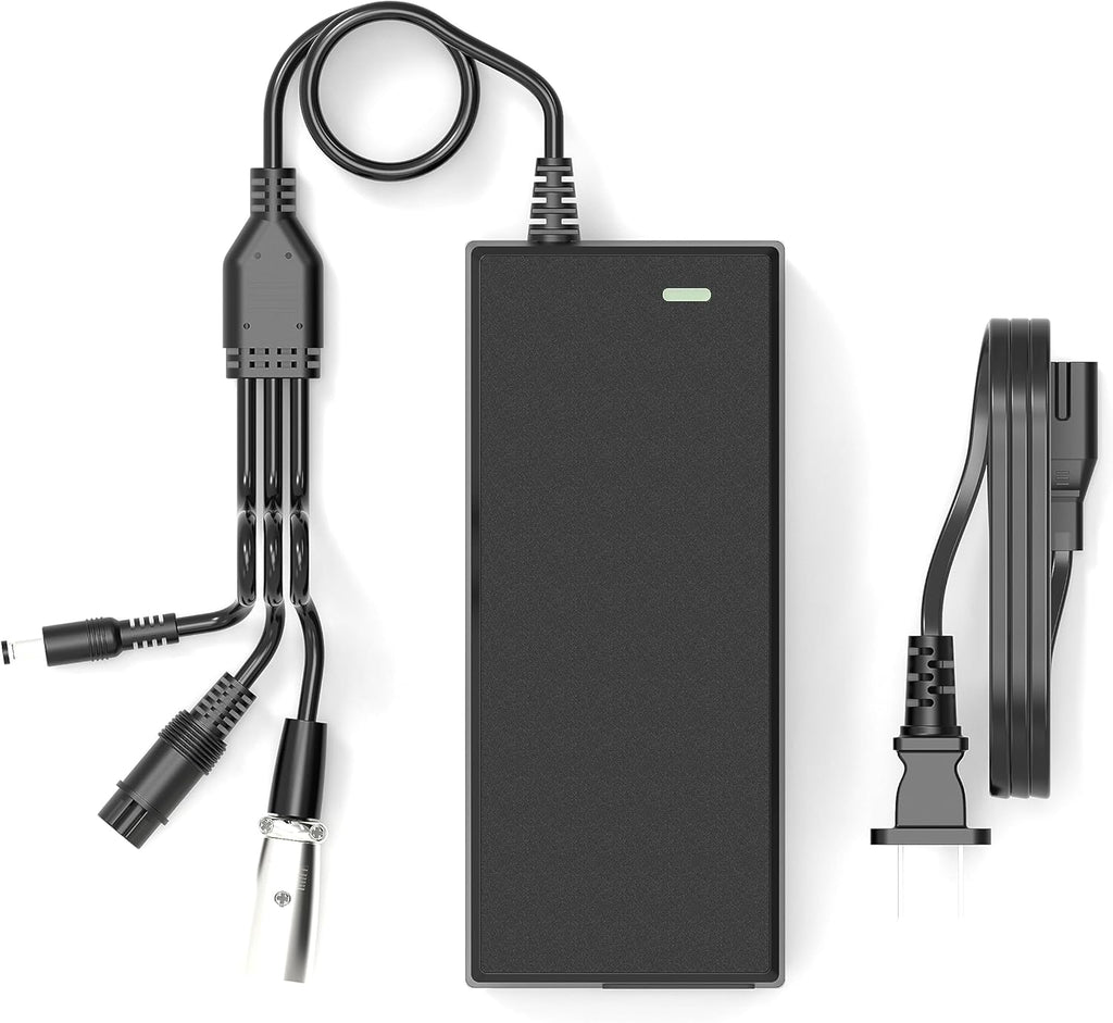 Skiennix Electric Ebike Charger - 54.6V 2A with 3 Plugs for 48V Battery | Compatible with F1, F2 Models